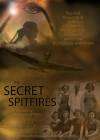 The Secret Spitfires poster