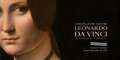 Night at the Louvre: Leonardo De Vinci poster