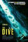 The Dive poster