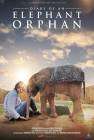 Diary of an Elephant Orphan poster